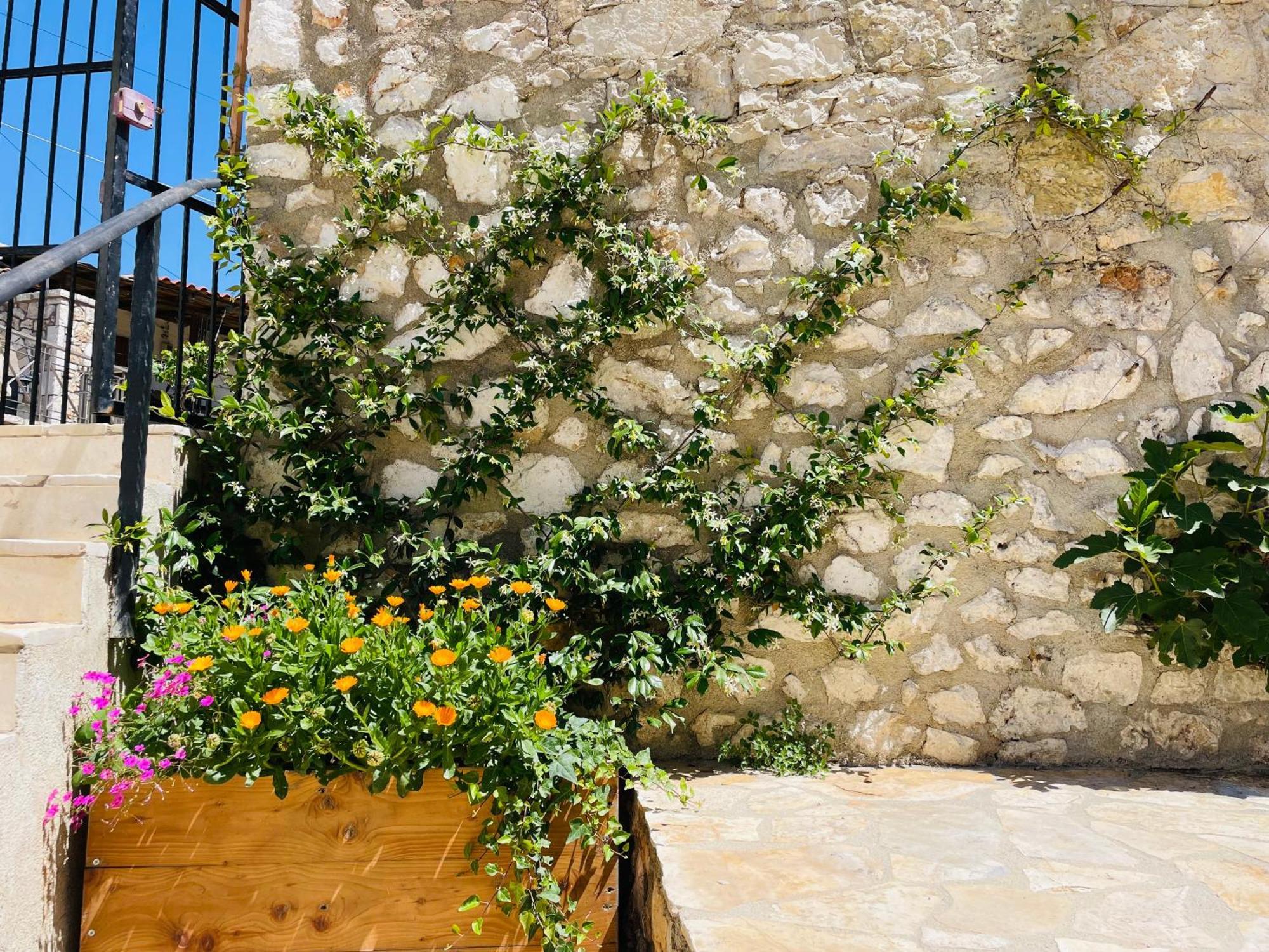 Guesthouse Near The Castle Of Himarë Exteriér fotografie